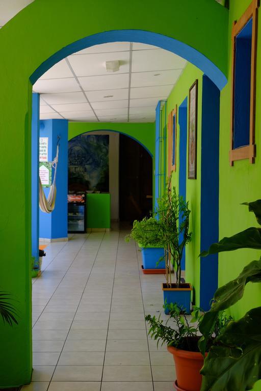 Hostal Casa Verde Санта-Ана Экстерьер фото